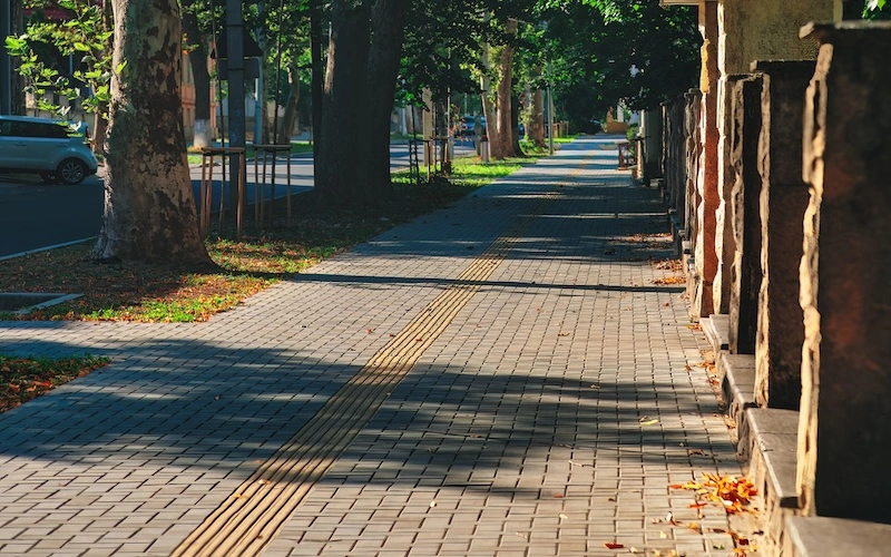 sidewalk concrete with trees